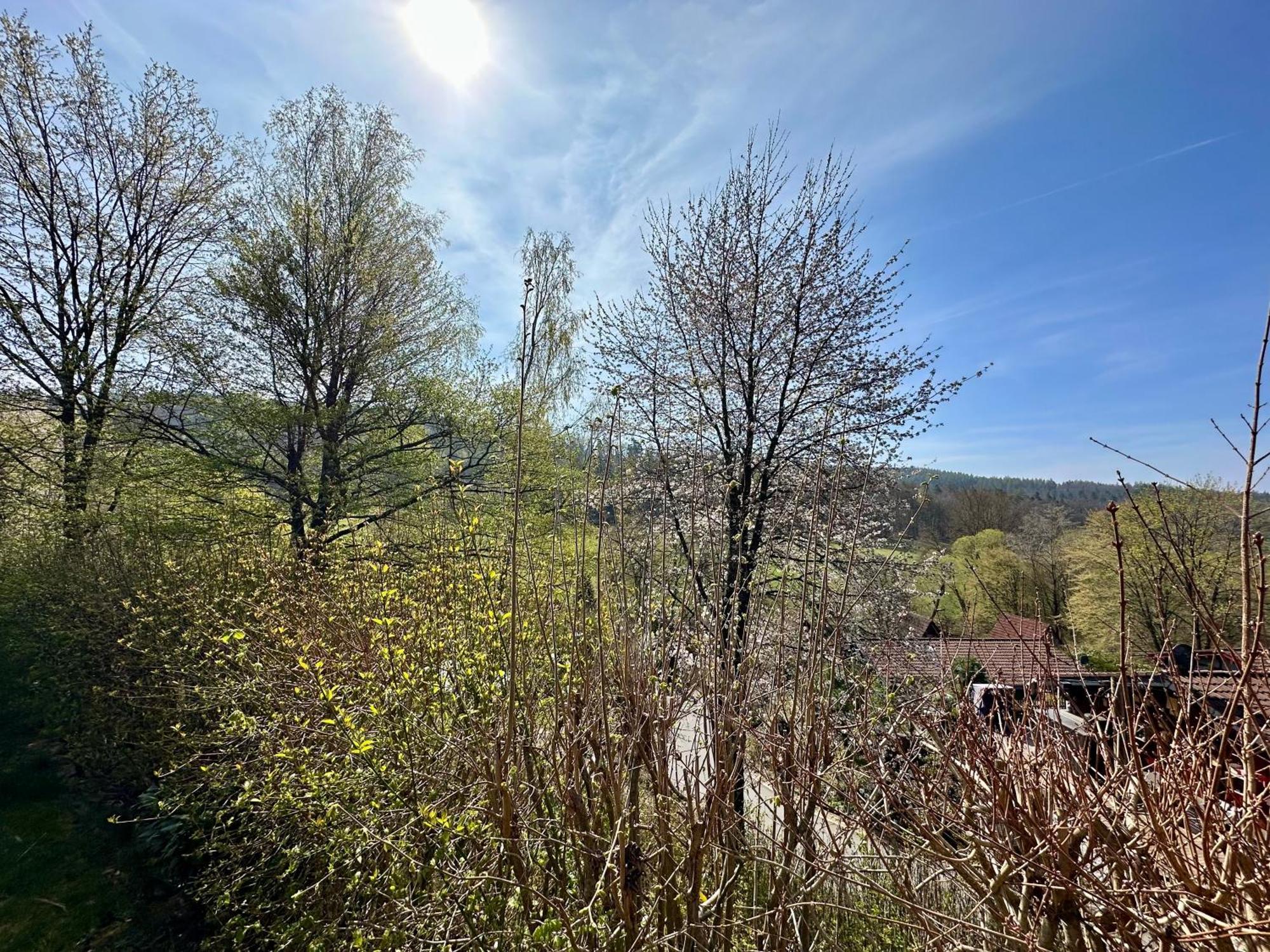 Natur Pur - Waldurlaub Im Tiny House Ronshausen Exterior photo
